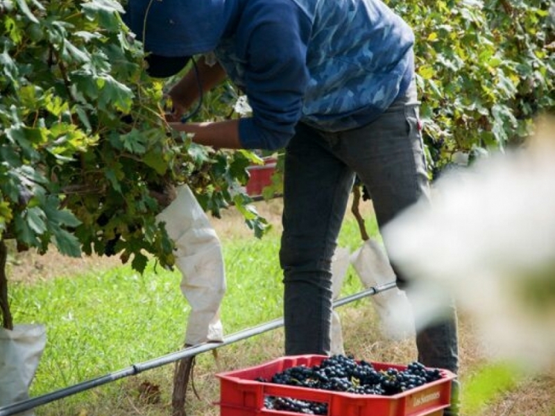 A Family Day in Cordoba City 