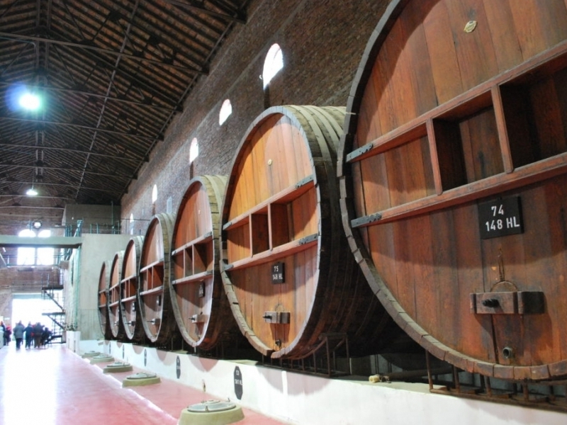 La Caroyense winery