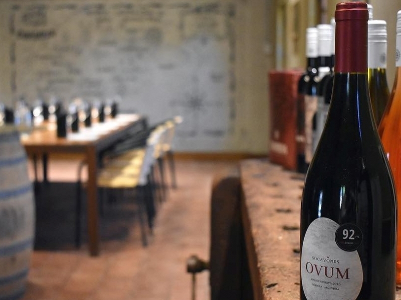 Tierra Camiare winery