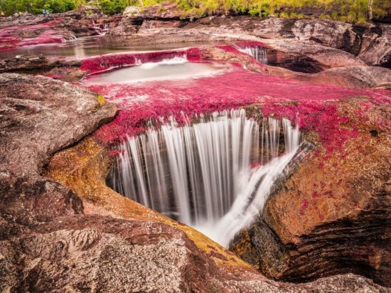 Caño Cristales, the Rainbow River