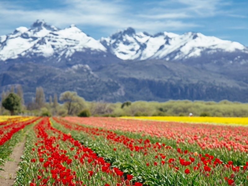 BEST TIME OF THE YEAR TO VISIT ARGENTINA
