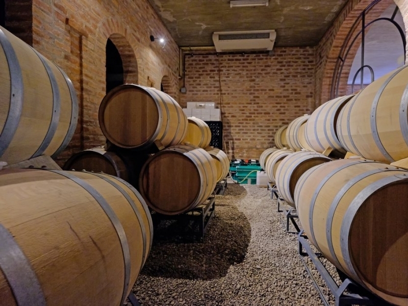 Taste Malbec at a Winery